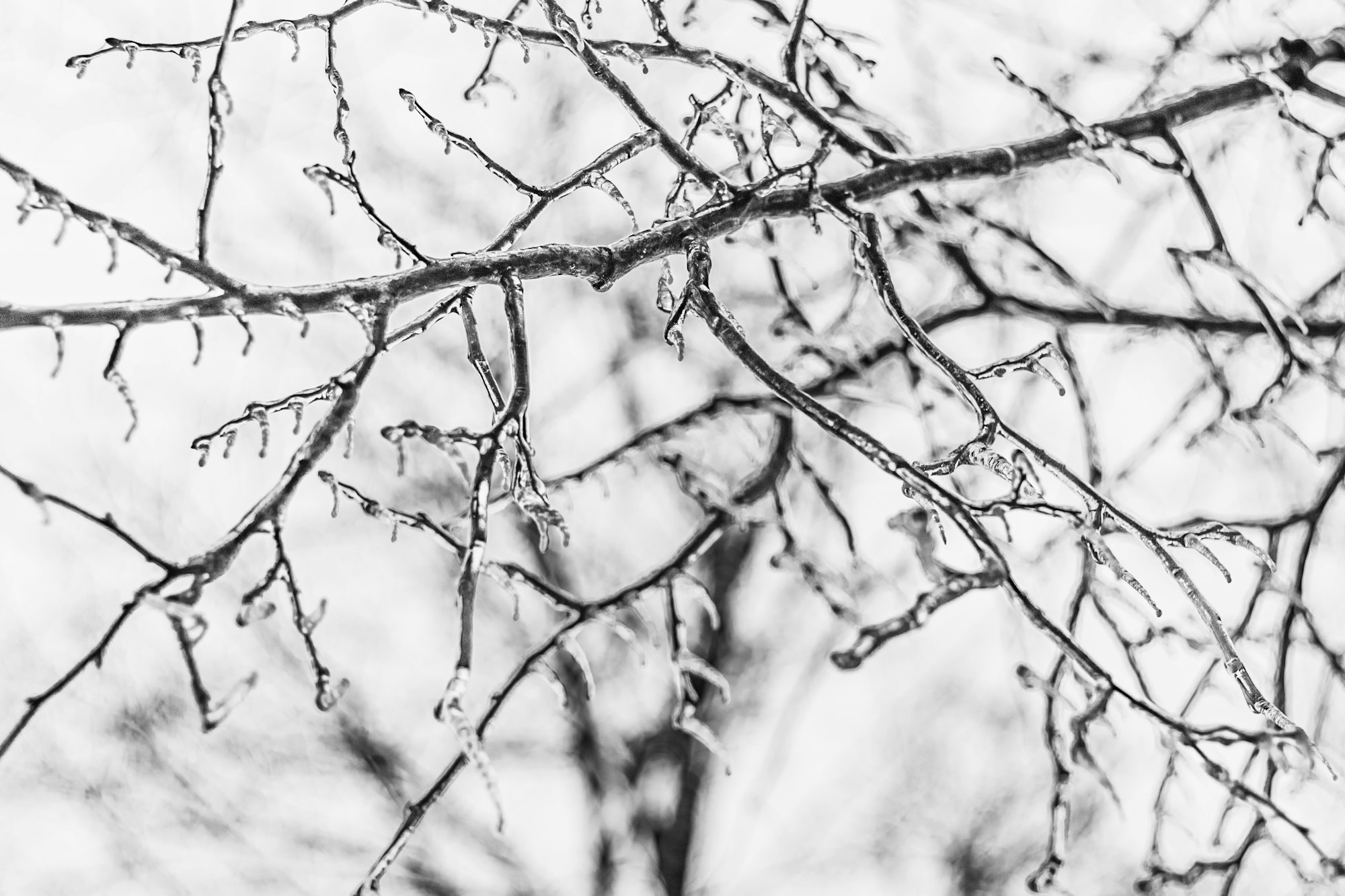 Winterizing Your School Property: Tips for School Winter Damage Prevention and Restoration