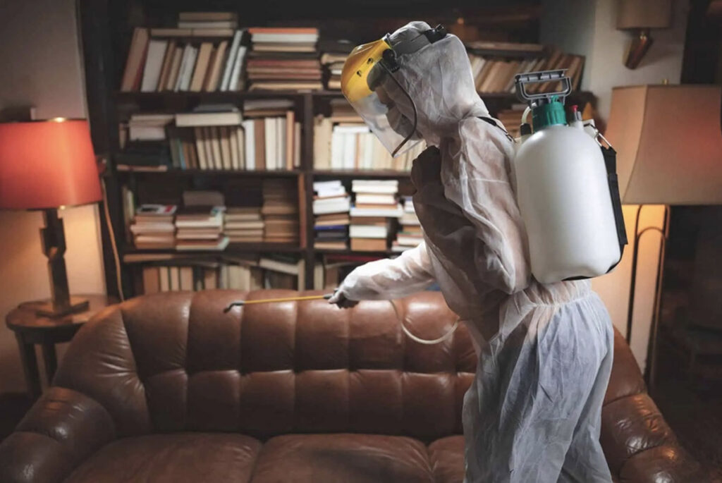 Common Home Restoration Myths Debunked