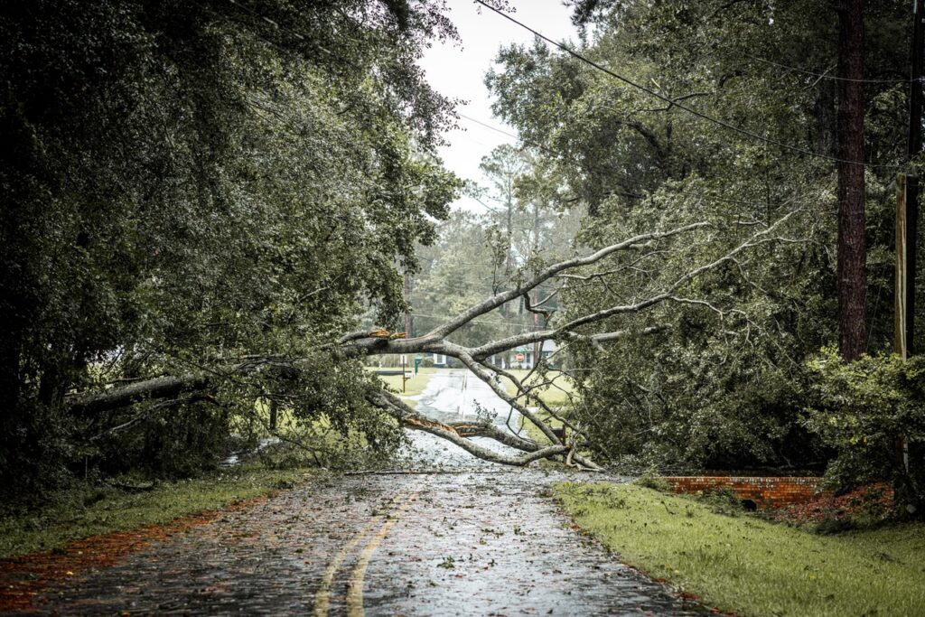 Emergency Water Damage Response After Hurricane Season